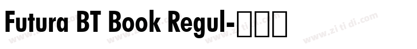 Futura BT Book Regul字体转换